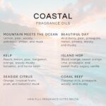 Eternal Essence Oils Coastal Set of 6 Premium Fragrance Oils – Includes Mountain Meets Ocean, Seaside Citrus, Island Hop, Kelp, Beautiful Day, and Coral Reef Scented Oils – 10ML