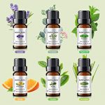 MAYJAM Essential Oils, Top 6 100% Pure Therapeutic Aromatherapy Oils Gift Set-6 Pack/10ml for Diffuser, Humidifier, Massage, Aromatherapy, Skin & Hair Care