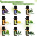 Essential Oils Set -100% Natural Essential Oils -Perfect for Diffusers, Aromatherapy,Humidifiers,Massage,Skin & Hair Care, DIY Candle and Soap Making,9×5 ML(0.17oz?