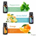 Essential Oils Set – 4 Oils & 2 Blends, Top 6 Essential Oils for Diffusers for Home, Stress Relief, Serenity Sleep Oil Blend Aromatherapy, Peppermint, Orange, Lavender, Eucalyptus Essential Oils