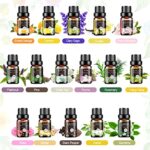 Essential Oils Set – 32x5ml Pure Aromatherapy Essential Oils Kit for Diffuser, Humidifier, Aromatherapy, Massage, Skin & Hair Care – Lavender, Tea Tree, Eucalyptus, Sandalwood, Peppermint, Rosemary